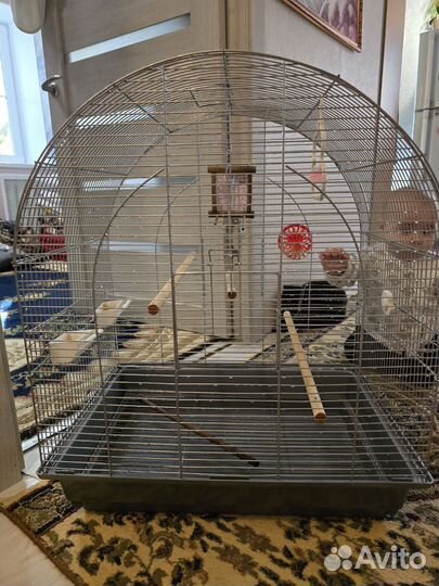 Продаются 2 клетки