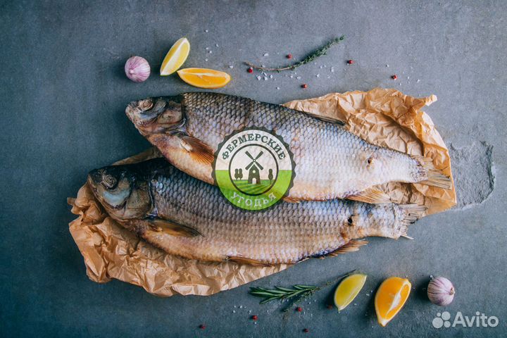 Рыба северная Язь Щука Щекур