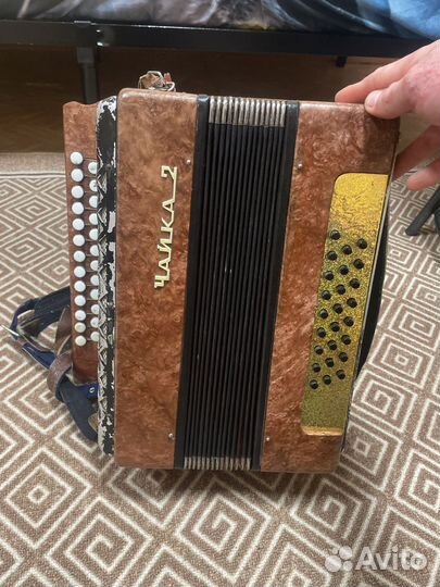 Гармонь чайка 2