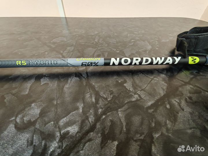 Лыжные палки