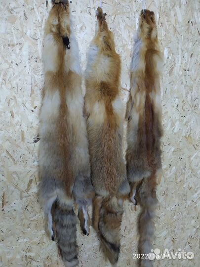 Шкурки лисы