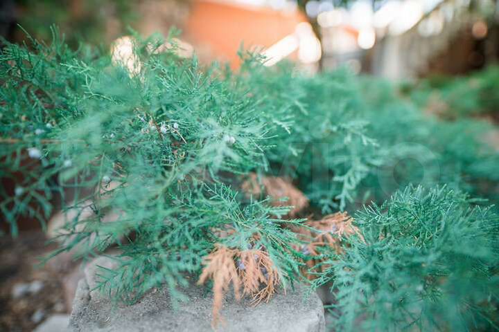 Дом 1113 м² на участке 22 сот.