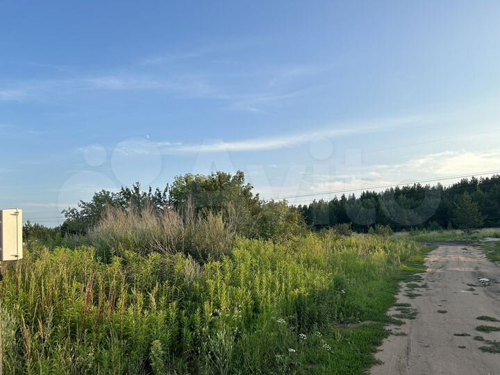 Участок 15 сот. (СНТ, ДНП)