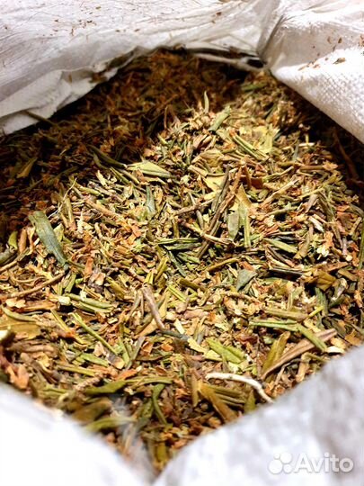 Саган Дайля