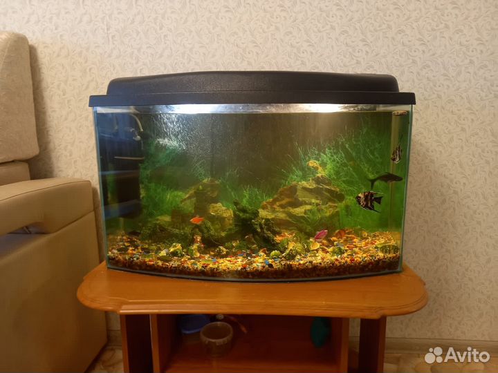 Аквариум