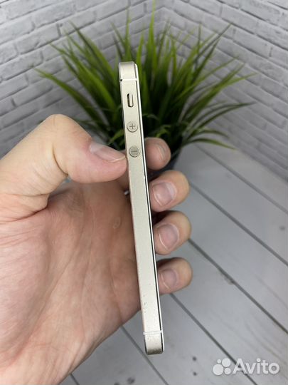 iPhone 5s 16gb gold