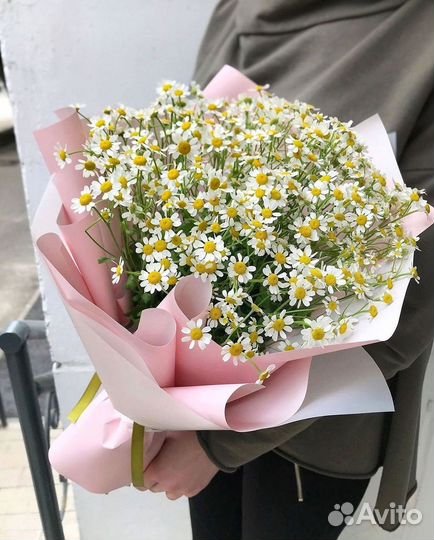 Доставка цветов. Ромашки