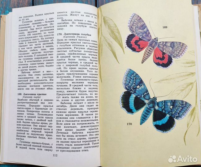 Атлас определитель насекомых