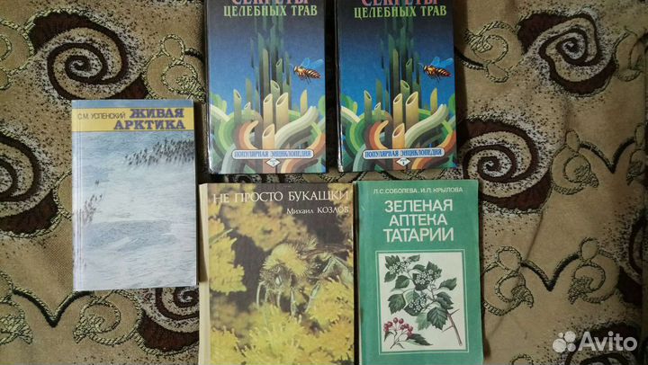 Книги, птицы, растения, насекомые