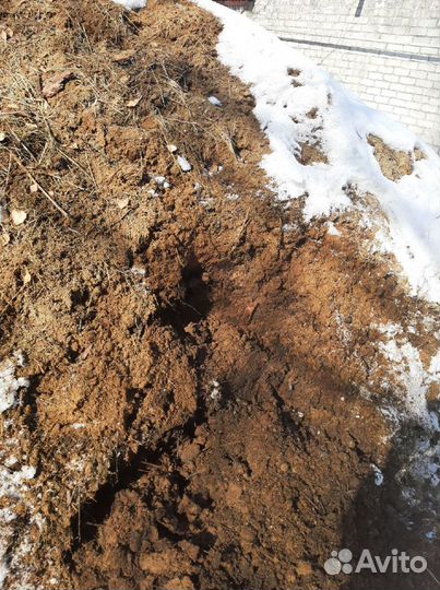 Перегной,Навоз коровий,конский