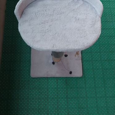 Лоток для кошек большой глубокий