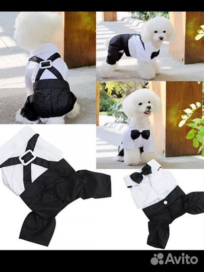 Костюм на собачку