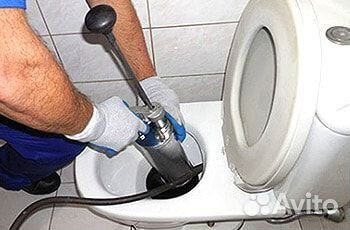 Продаю карликового кролика вислоухого