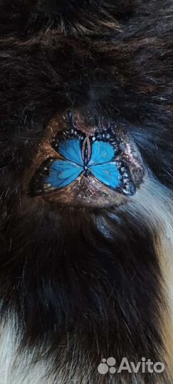 Шкура козы длинношеостная