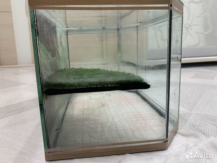 Аквариум для черепах