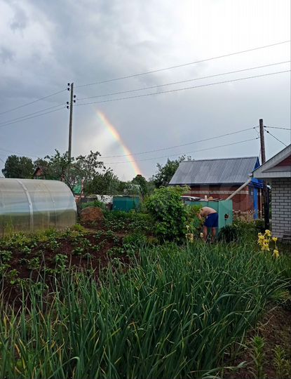 Дача 20 м² на участке 5 сот.