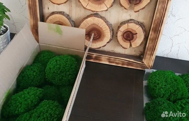 Стабилизированный мох производство премиум