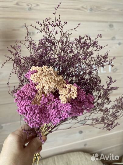 Сухоцветы для творчества