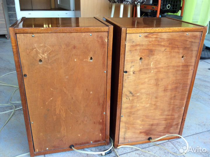 Акустические колонки 10 мас1М от Вега 002