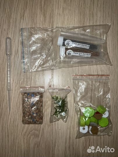 Муравьиная ферма