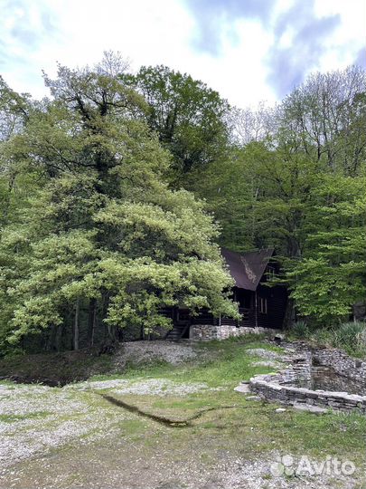 Отдых в горах