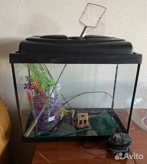 Емкость на 50 литров с аксессуарами для рыбок