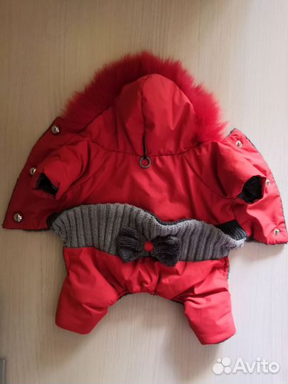 Комбинезоны и др. одежда и обувь для мелких собак