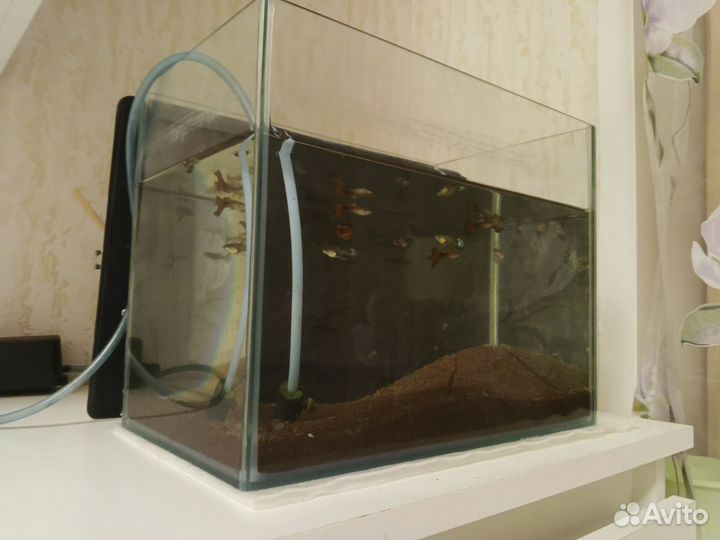 Аквариум с рыбками