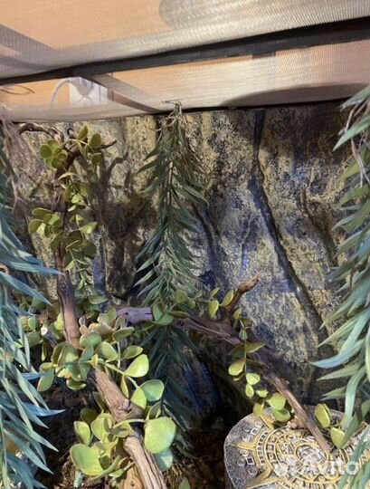 Террариум exo terra 60*45*45