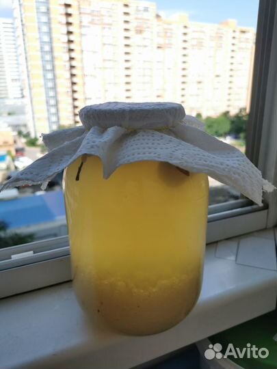 Индийский морской рис