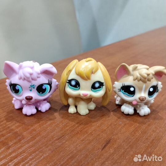 Littlest pet shop маленькие собачки