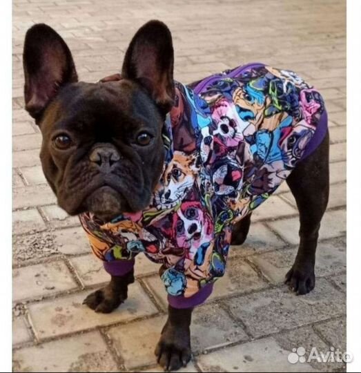 Комбинезон для маленькой собаки новый