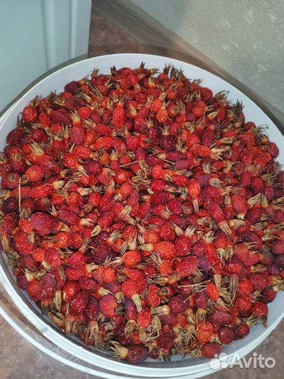 Шиповник ягоды