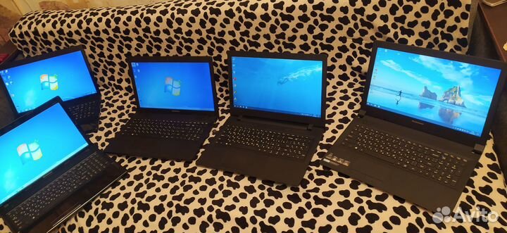 7 штук в идеале HP Asus Acer Lenovo видео 2гб