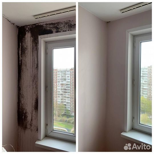 Дезинсекция / Уничтожение тараканов,насекомых