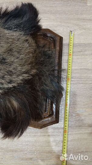 Голова кабана