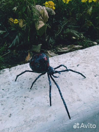 Паук черная вдова