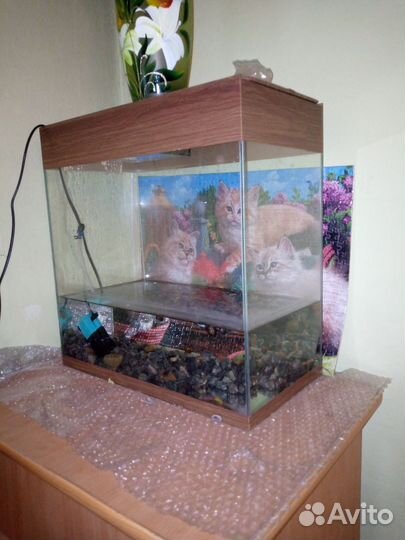 Аквариум