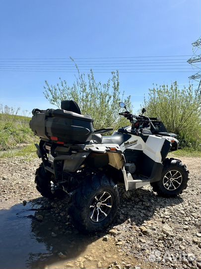 Стелс Гепард