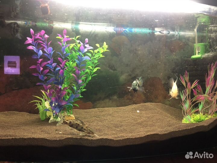 Аквариум 100 литров с тумбой
