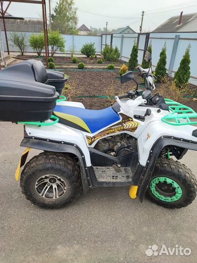 Аванти Форестер 200