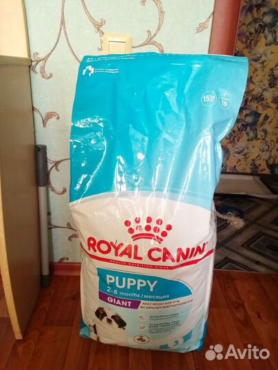 Royal canin