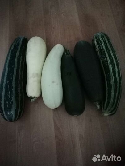 Продаются кабачки