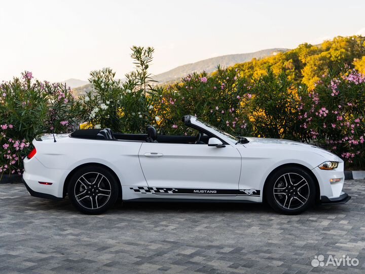 Аренда прокат Ford Mustang белоснежный с полосами