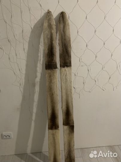 Лыжи охотничьи с камусом