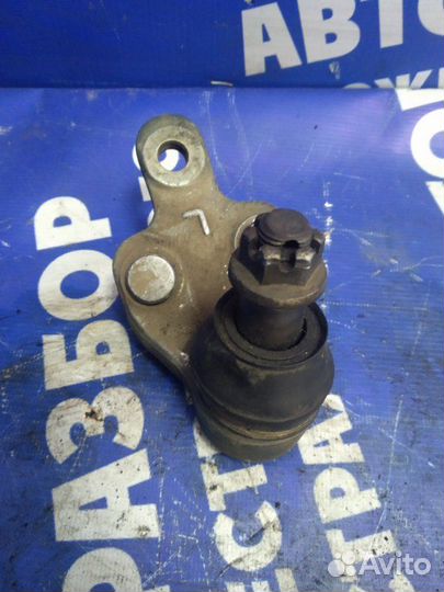 Шаровая опора нижняя. Toyota Alphard минивен