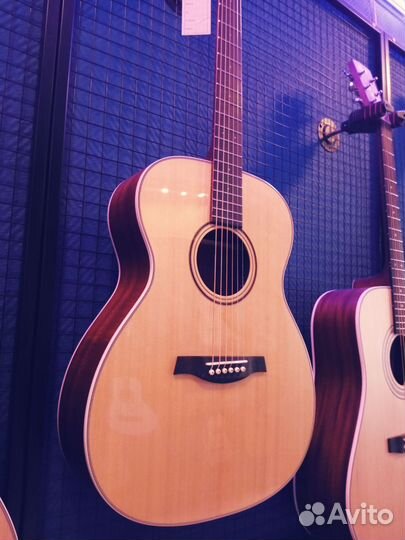 Гитара Parkwood S22GT+чехол плотный