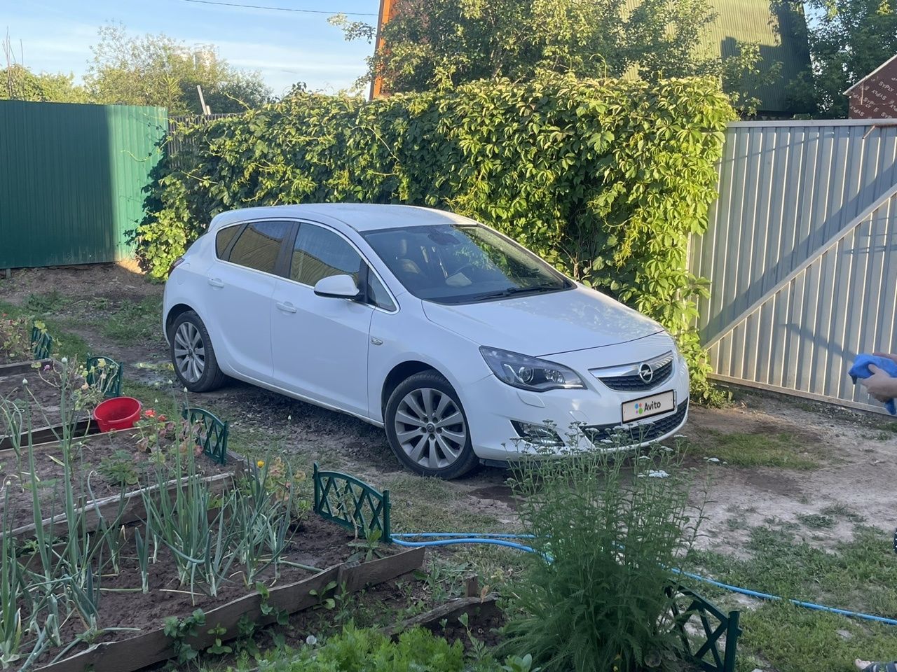 Opel Astra: фото владельца