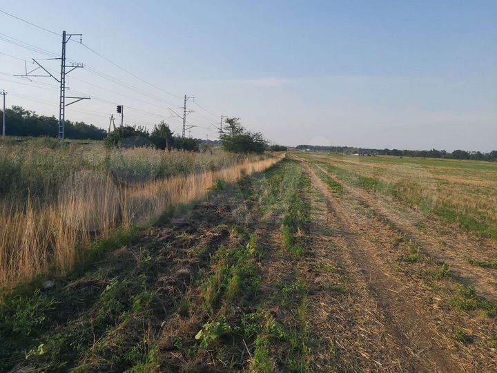 Участок 85 сот. (СНТ, ДНП)