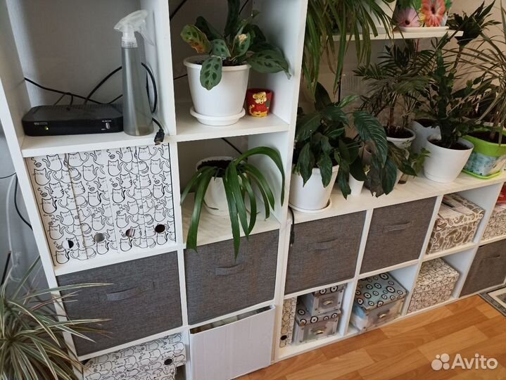 Коробка для хранения от производителя